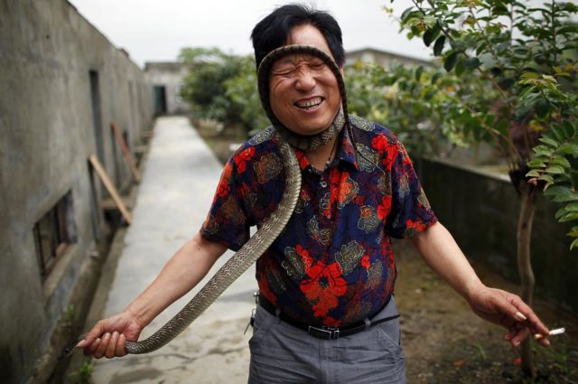 Kίνα: Σχεδιάζεται η πρώτη κλινική με φάρμακα από φίδια