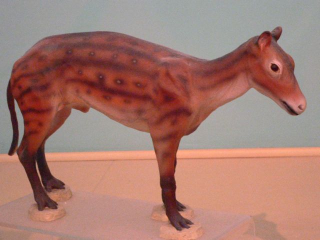 Ο Αδάμ των αλόγων