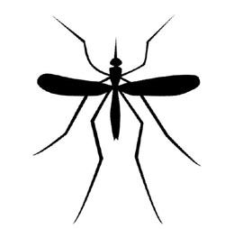 Κουνούπι του Νείλου: το πρώτο κρούσμα στην Καρδίτσα