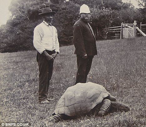 Μια χελώνα 178 ετών είναι το πιο ηλικιωμένο ζώο στον πλανήτη