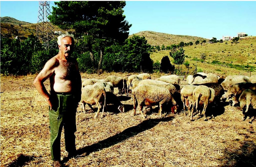 Βοσκός  βορείων προαστίων