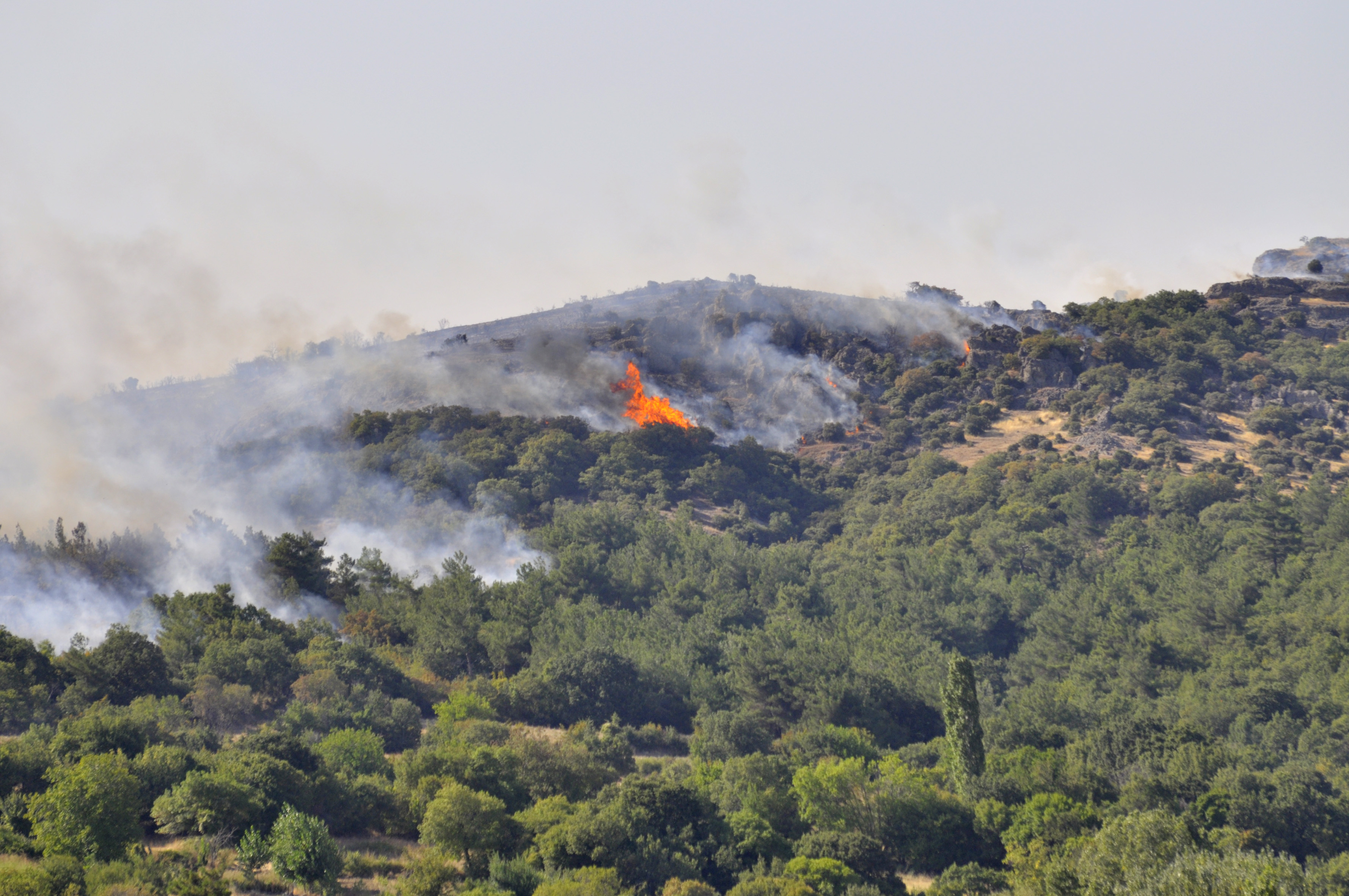 Υπό πλήρη έλεγχο η φωτιά σε αγροτική περιοχή στη Μόρια