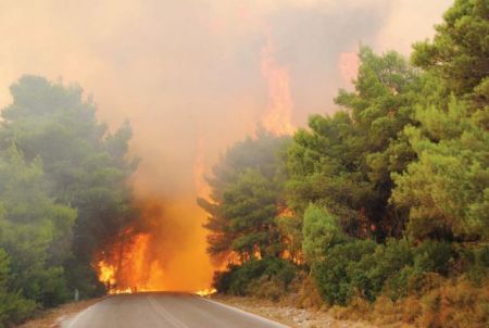 Υπό μερικό έλεγχο η φωτιά στη Ζάκυνθο