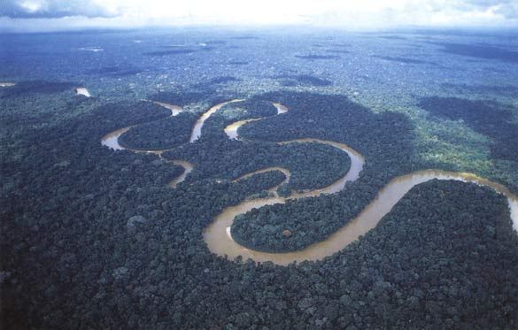 Νομοσχέδιο – απειλή για τον Αμαζόνιο στη Βραζιλία