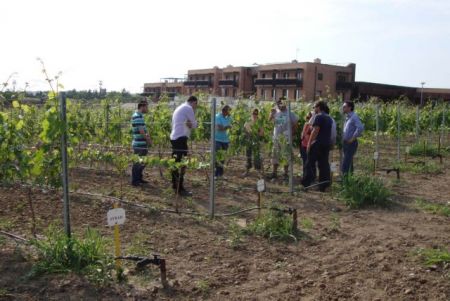 Τρεις πλήρεις υποτροφίες για την Αμερικανική Γεωργική Σχολή