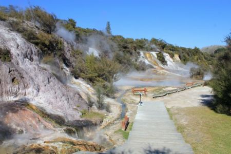 Φυτά αναπτύσσονται στους 72 βαθμούς Κελσίου
