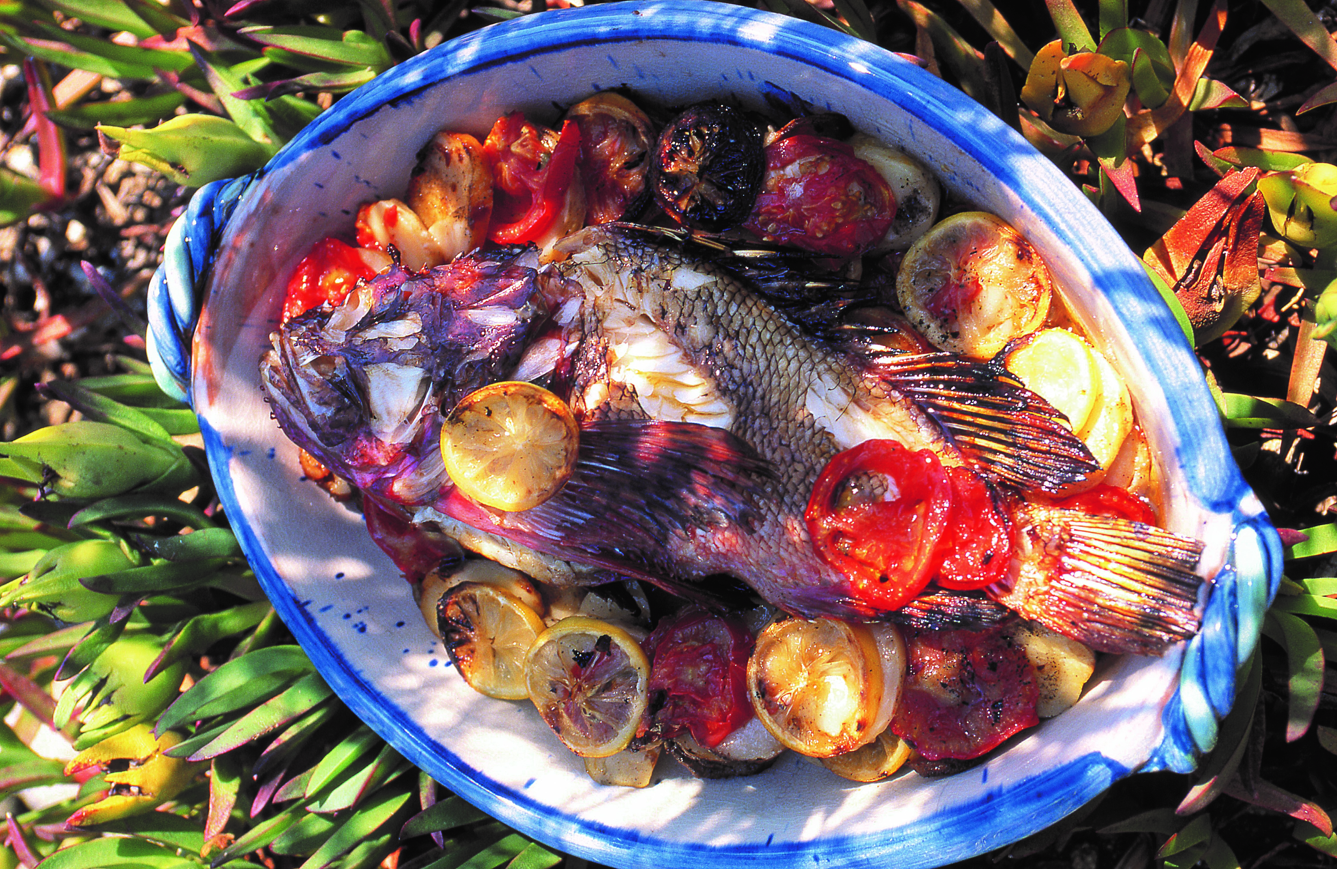 Κόκκινη, καλοκαιρινή αγάπη