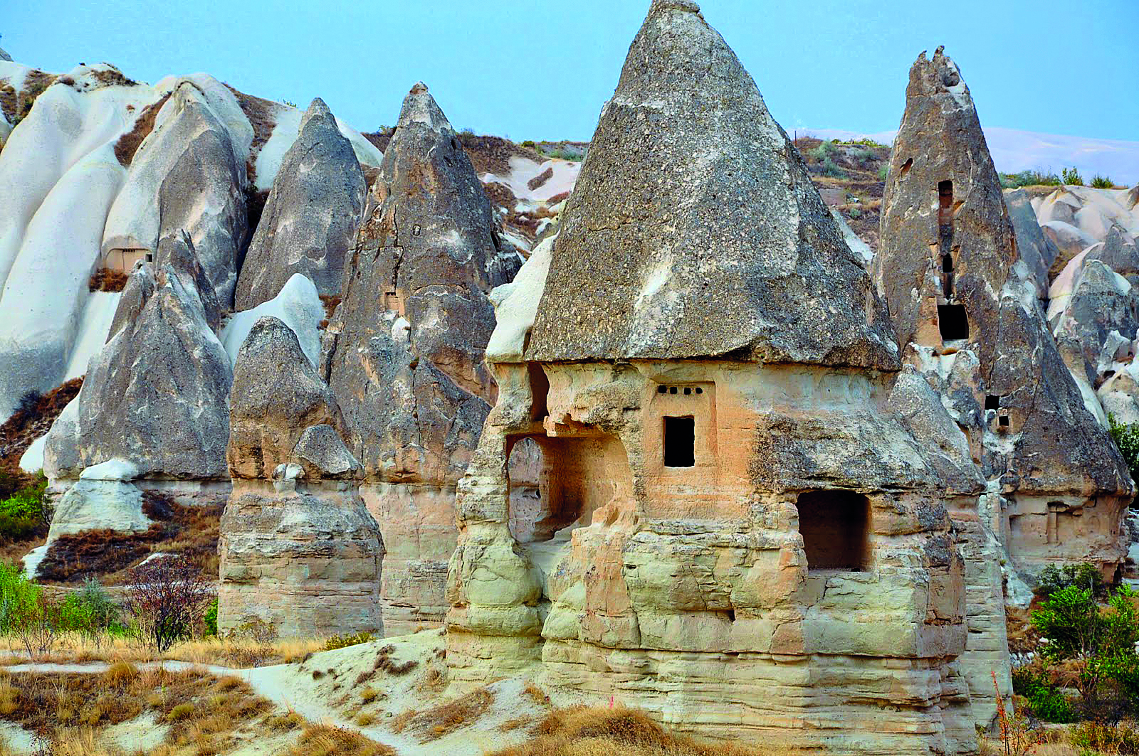 Αμπέλια και νεραϊδοκαμινάδες