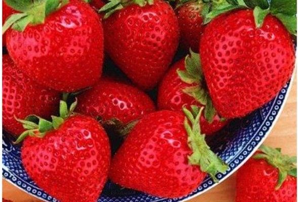 «Ασπίδα» για το στομάχι η φράουλα