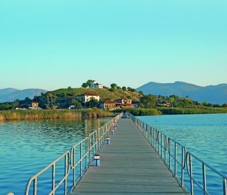 Ασάλευτη ζωή στις Πρέσπες