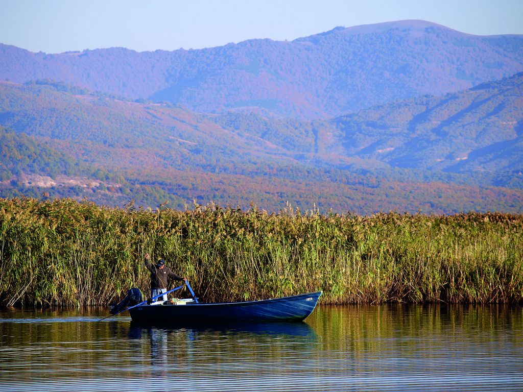 Αγία ησυχία