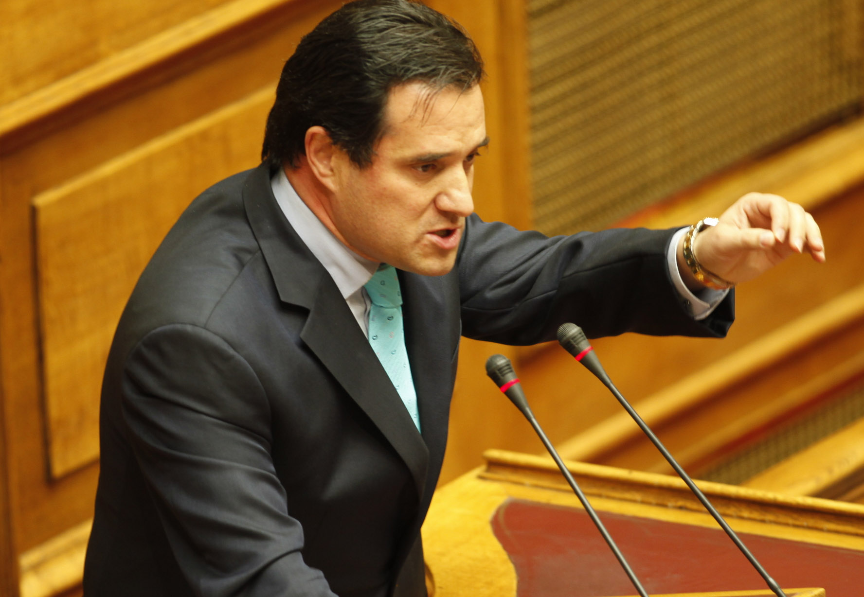 Αδ. Γεωργιάδης: «Είμαι υπουργός του Καρατζαφέρη κι όχι του Παπαδήμου»
