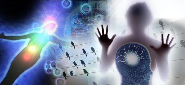 «Μίλησαν» με ασθενείς σε κατάσταση φυτού