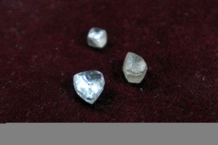 Λαθραία τσιγάρα, διαμάντια και… ζωντανούς κροκόδειλους κατάσχεσαν οι τελωνείακές αρχές