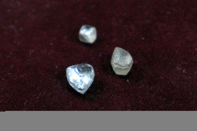 Λαθραία τσιγάρα, διαμάντια και… ζωντανούς κροκόδειλους κατάσχεσαν οι τελωνείακές αρχές