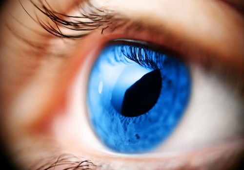 Το DNA αποκαλύπτει το χρώμα των ματιών