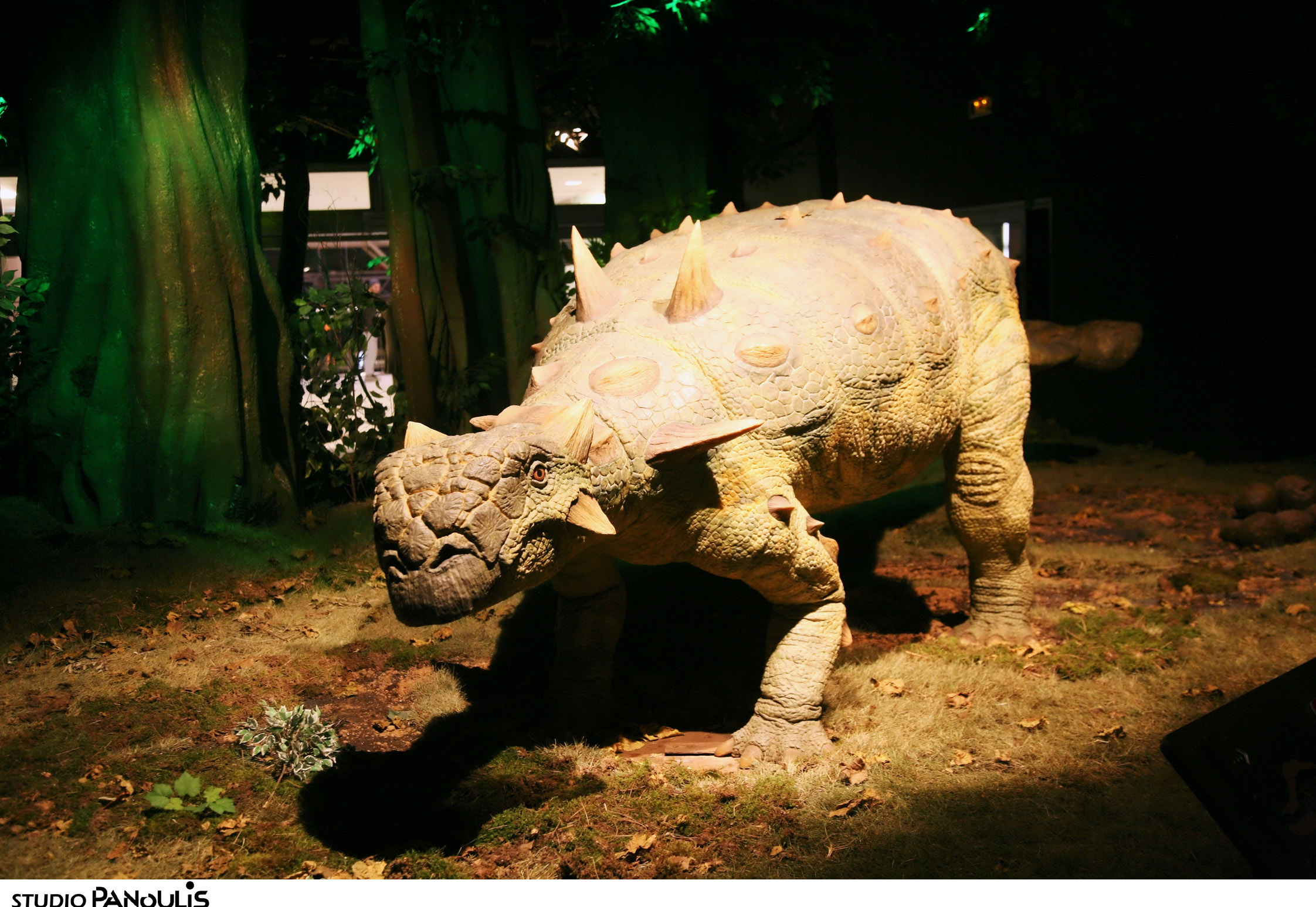 Στην Αθήνα οι δεινόσαυροι της Παταγονίας