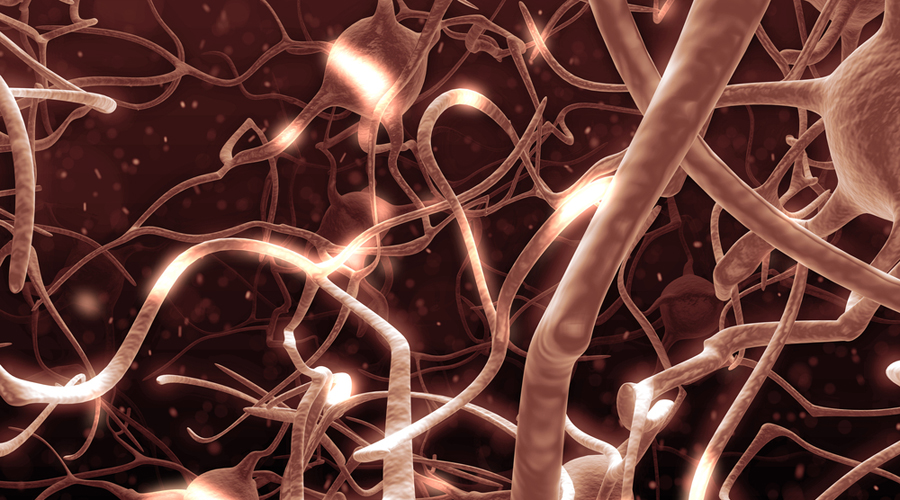 Κύτταρα – καμικάζι στην πηγή της Αλτσχάιμερ