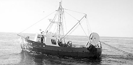 Στο 1,5 ναυτικό μίλι από τις ακτές οι τράτες