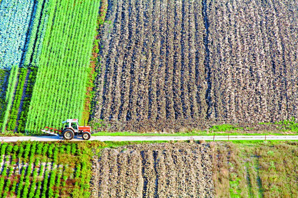 Καρασμάνης: «Αναγκαία η υποστήριξη της οικογενειακής γεωργίας»
