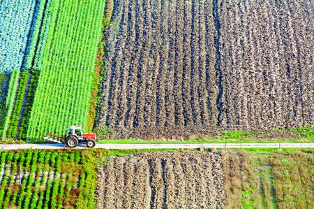 Καρασμάνης: «Αναγκαία η υποστήριξη της οικογενειακής γεωργίας»