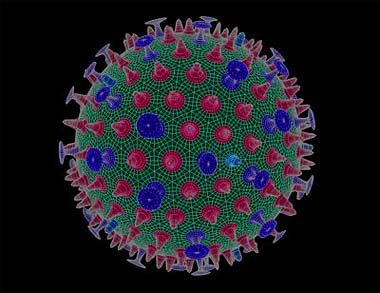 «Πάγωμα» των ερευνών για τη φονική γρίπη