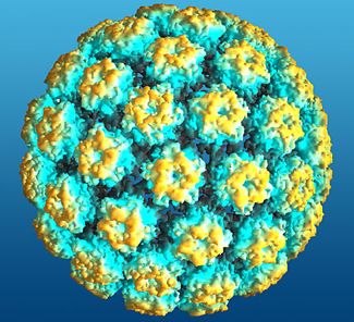 Ανδρικό «προνόμιο» η στοματική μόλυνση με HPV | tovima.gr