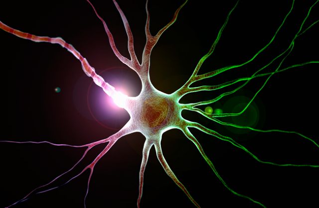 Αμεση μετατροπή δέρματος σε νευρώνες