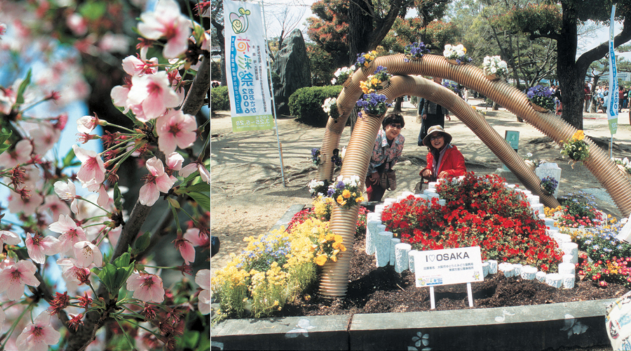 Ιαπωνία: Οι κερασιές θα ανθίσουν και φέτος στην Οσάκα