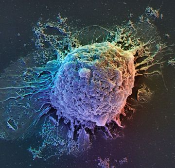 Ελπιδοφόρα θεραπεία για τον καρκίνο του παγκρέατος