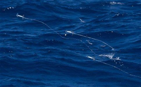 Ιπτάμενα καλαμάρια μεγάλων αποστάσεων