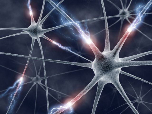 Οι νευρώνες μας είναι μόνο… 86 δισ.!