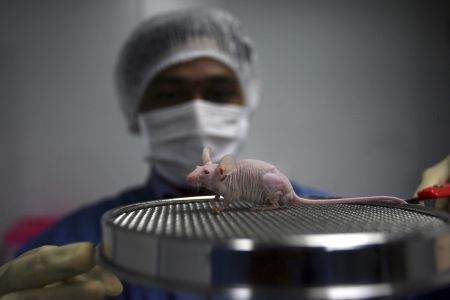 Πώς είχε στηθεί το κόλπο με τα φάρμακα