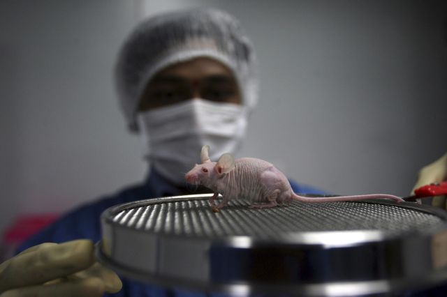 Αύξηση 20% στις κλινικές μελέτες τη διετία 2014-15