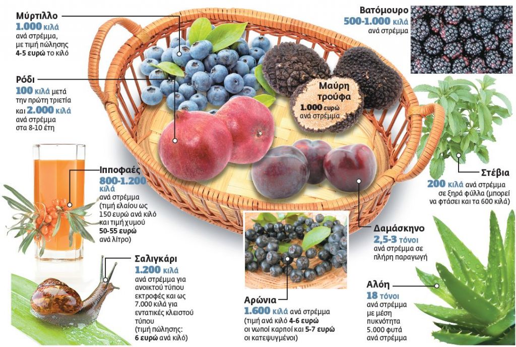 «Μοντέρνες» καλλιέργειες για ανήσυχους νέους αγρότες