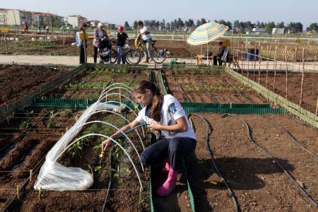 Πρόγραμμα δίνει 140 εκατ. ευρώ σε νέους αγρότες