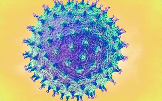 Δημοσιεύθηκε η πρώτη αμφιλεγόμενη μελέτη για τη γρίπη | tovima.gr