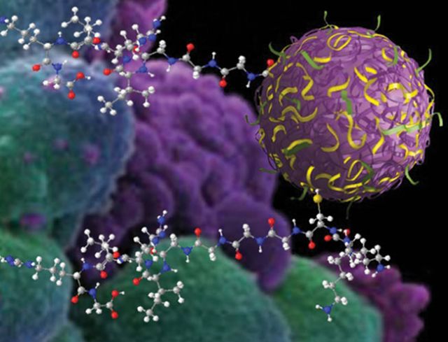 1 στους 6 καρκίνους οφείλεται σε λοίμωξη