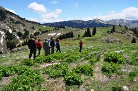 Πρόταση για κήρυξη της κοιλάδας του Μόρνου ως Τοπίου Άγριας Φύσης