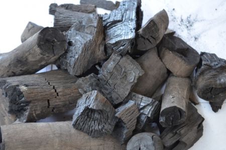 Ευρώπη χωρίς Κάρβουνο, θέλουν οργανώσεις από 28 ευρωπαϊκές χώρες