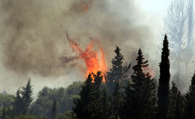 Αύξηση κατά 42% στις δασικές πυρκαγιές τους πρώτους μήνες του ’12
