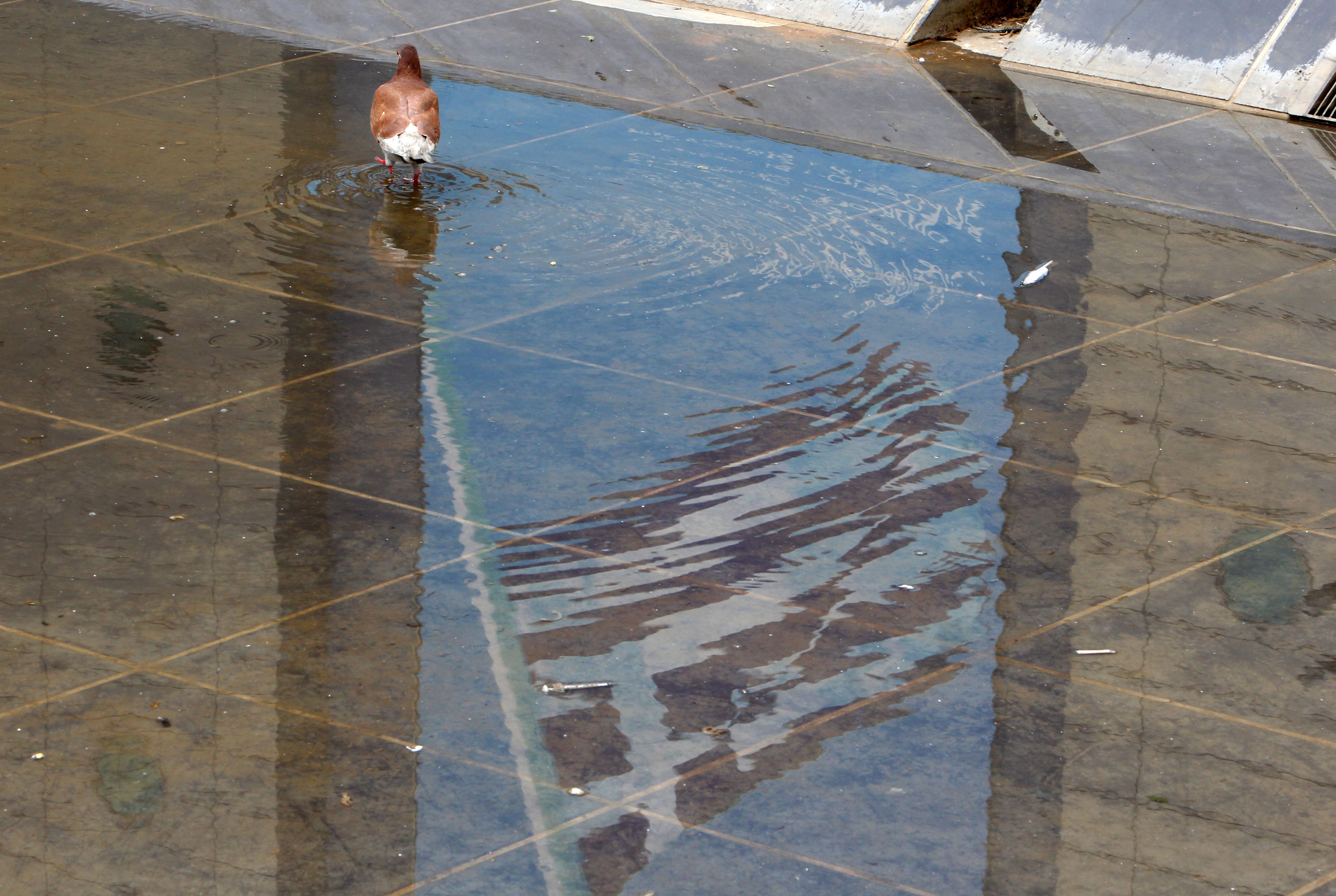 ΙΟΒΕ: Εφικτός στόχος η επιστροφή στην ανάπτυξη το 2014