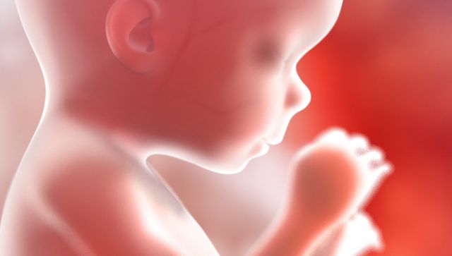 Αποκωδικοποιήθηκε το γονιδίωμα εμβρύου 18 εβδομάδων