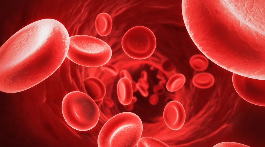 Αιμοπετάλια: οι «μπαλαντέρ» του ανοσοποιητικού
