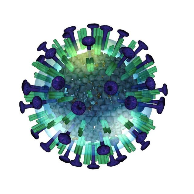 Πέντε βήματα από την επόμενη πανδημία γρίπης;