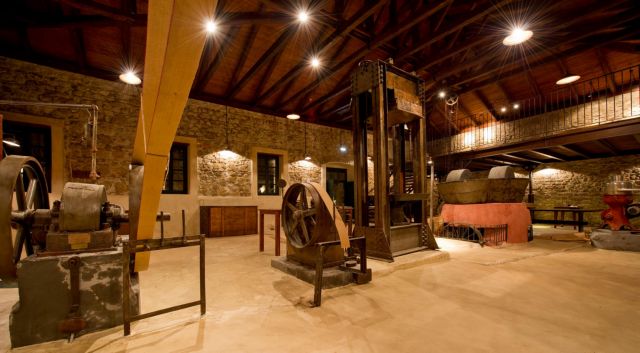 Paragaea: Ενα μουσείο για την ελιά και τη γευσιγνωσία