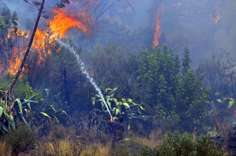 Σε ύφεση η πυρκαγιά στον Αγιο Γεώργιο Βαρνάβα | tovima.gr