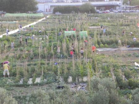 Φτιάξε το δικό σου λαχανόκηπο με τη στήριξη του Α.Π.Θ.