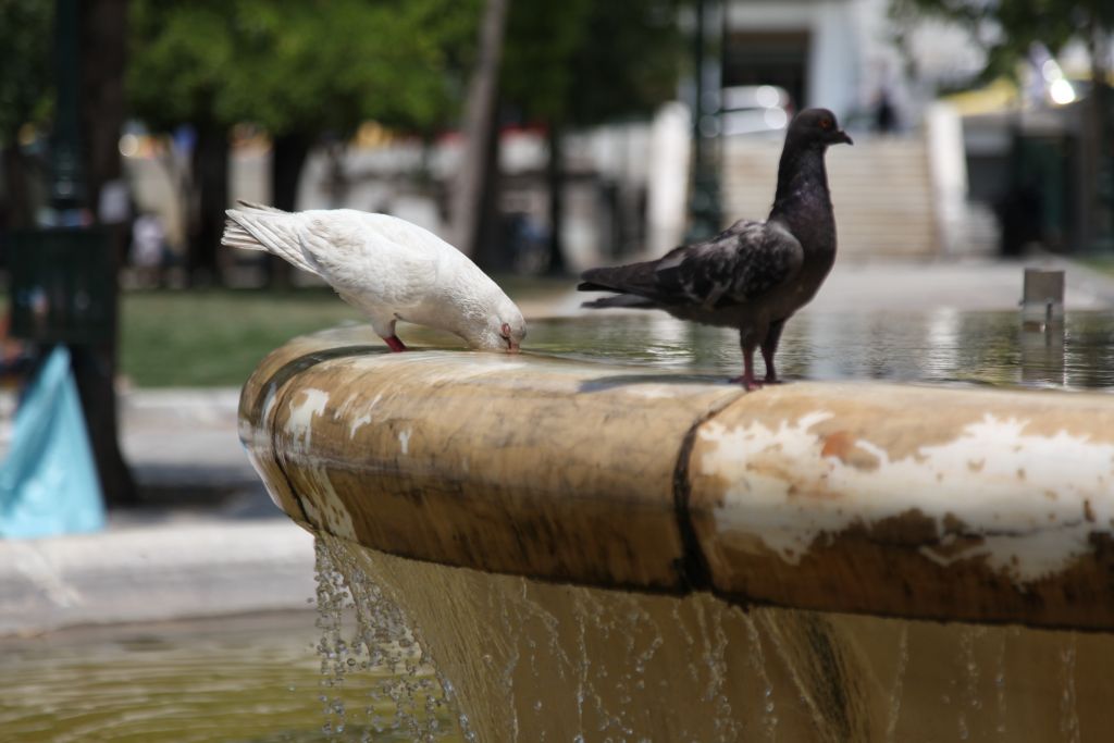 Πώς και πού θα προστατευθείτε από τον καύσωνα