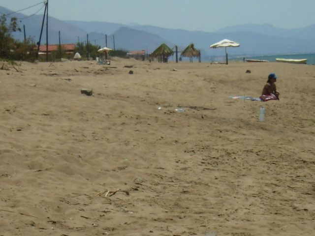Ηλεία: Κοινό και καρέτα – καρέτα επέστρεψαν στην παραλία Επιταλίου | tovima.gr